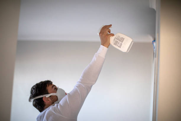 Reliable Comanche, OK Mold Remediation Solutions
