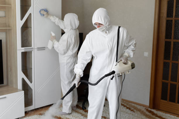 Best DIY Mold Remediation Support Services in Comanche, OK
