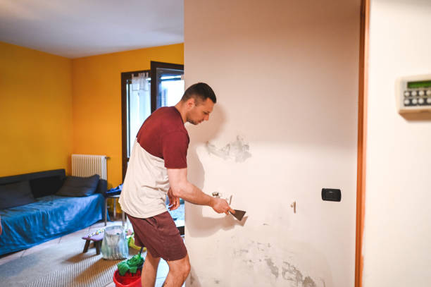 Best Basement Mold Remediation in Comanche, OK