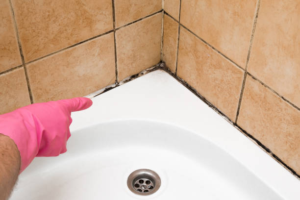 Best Residential Mold Remediation in Comanche, OK
